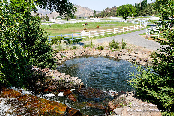 Ranch 23