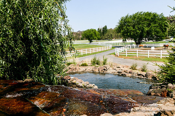 Ranch 23