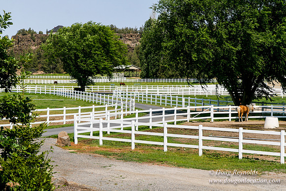 Ranch 23
