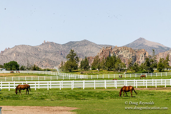 Ranch 23