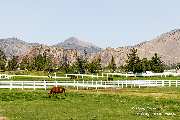 Ranch 23