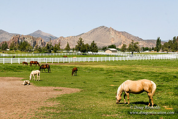 Ranch 23