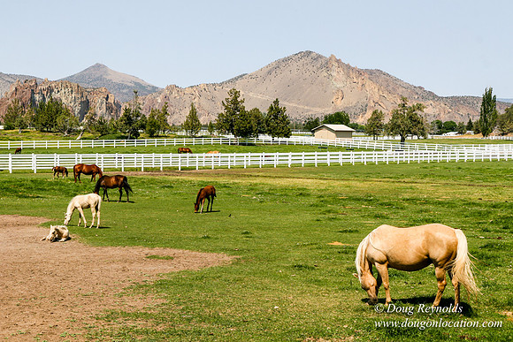 Ranch 23