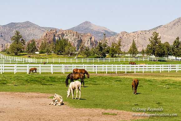 Ranch 23