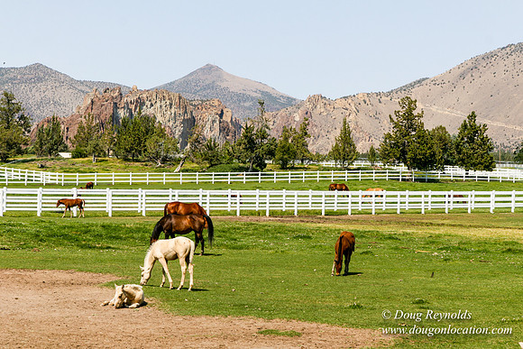 Ranch 23