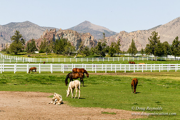 Ranch 23
