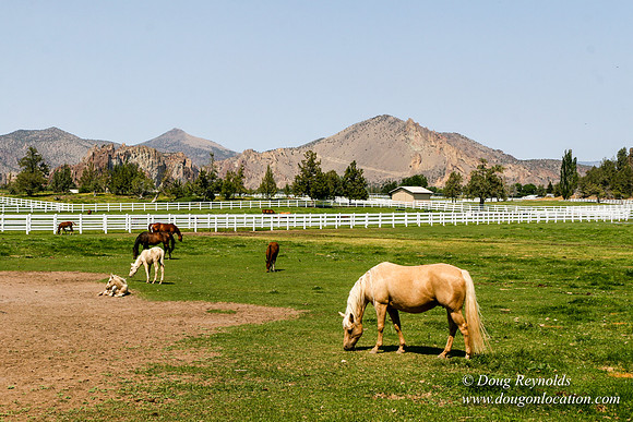 Ranch 23