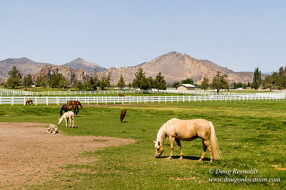 Ranch 23
