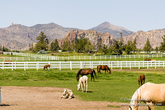 Ranch 23