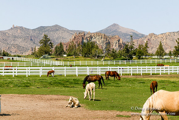 Ranch 23