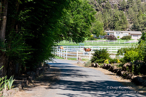 Ranch 23