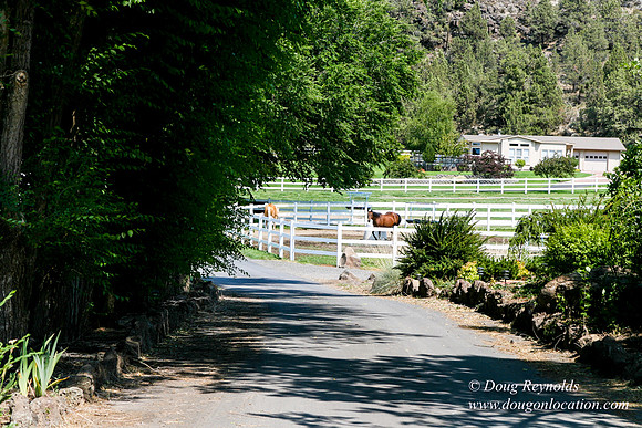 Ranch 23
