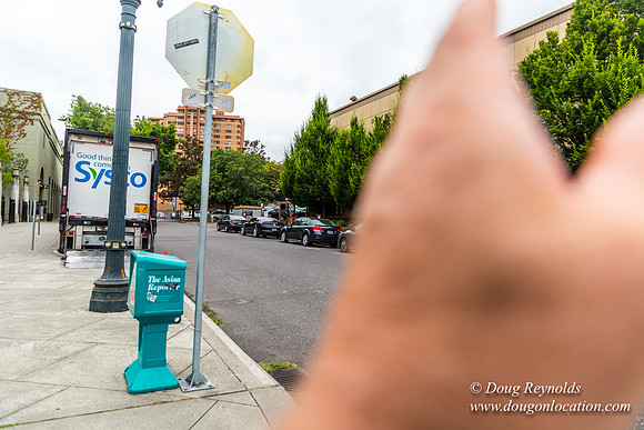 Providence Park-