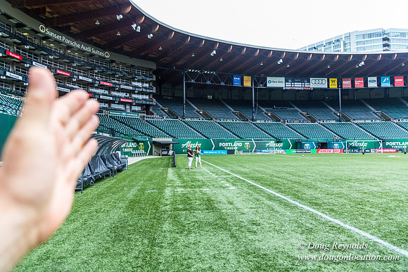 Providence Park-