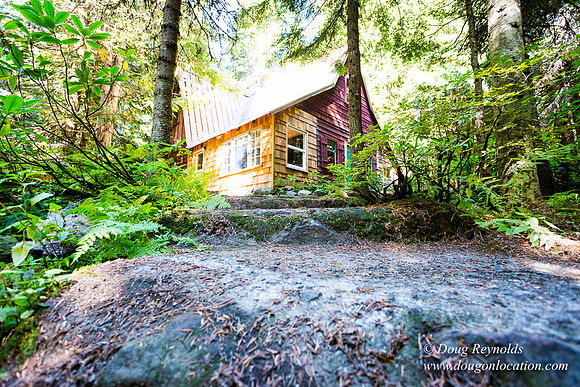 Karri's Cabin