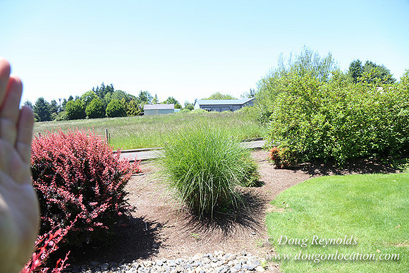 Scotts House-5356