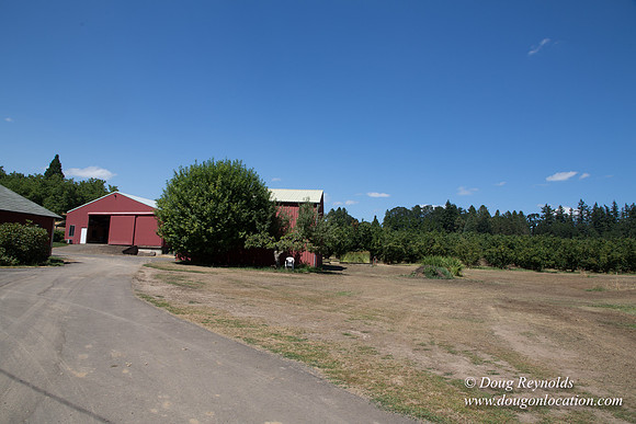 Jerry's Nut Barn