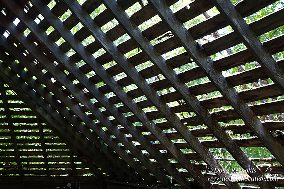 Robin's Barn