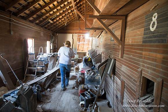Robin's Barn
