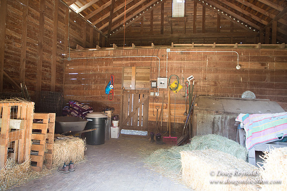Peters Home & Barns