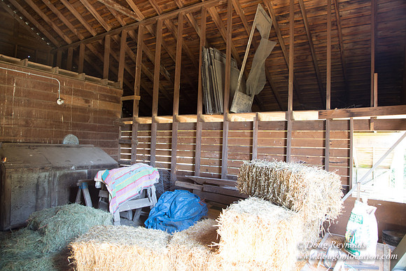 Peters Home & Barns