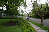 Joans House