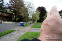 Joans House