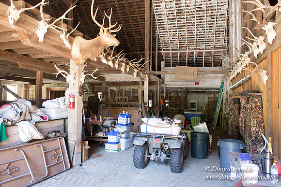 Randi's Barn