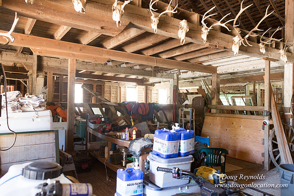 Randi's Barn
