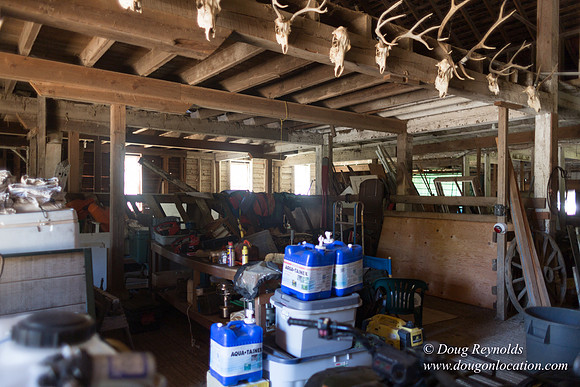 Randi's Barn
