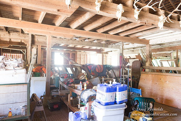 Randi's Barn