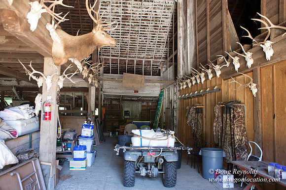 Randi's Barn