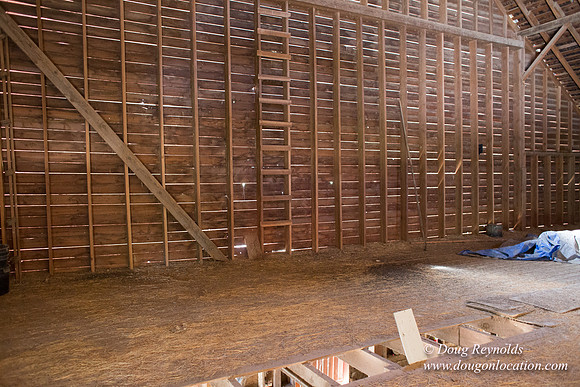 Randi's Barn