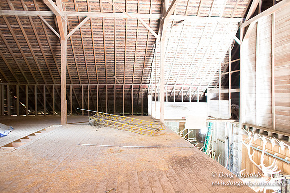 Randi's Barn
