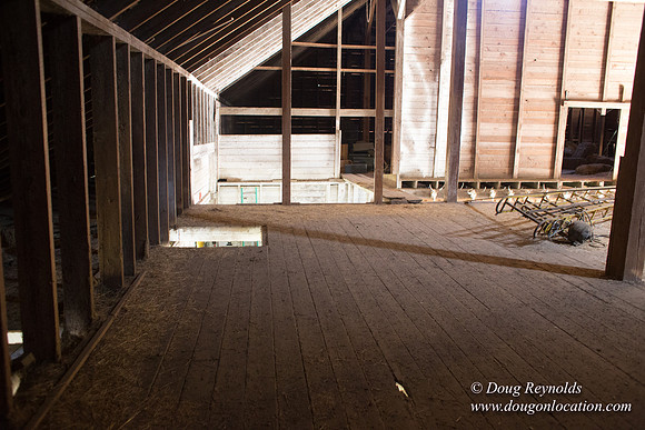 Randi's Barn