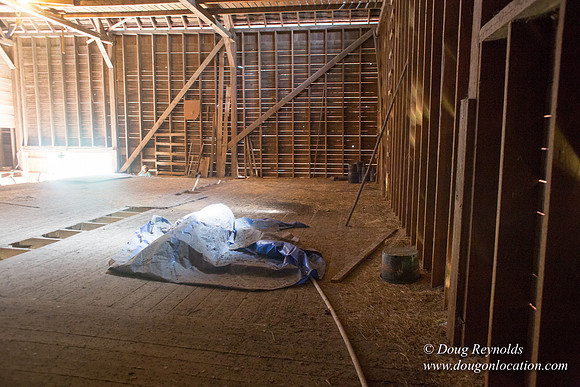 Randi's Barn