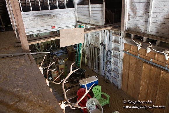 Randi's Barn