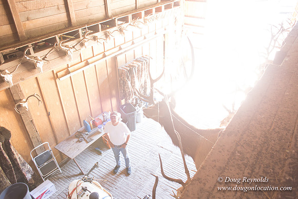 Randi's Barn