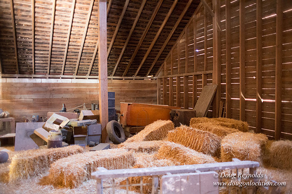 Randi's Barn