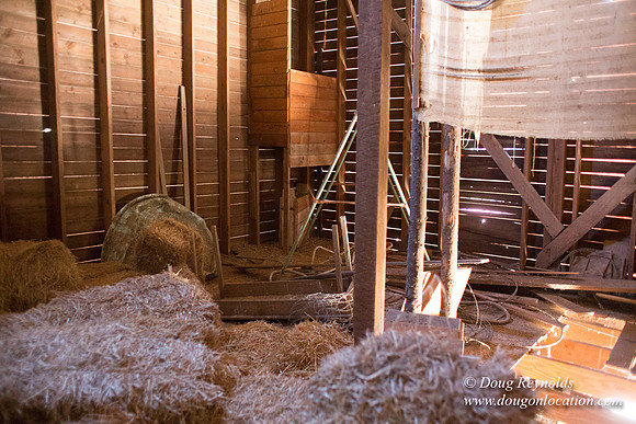 Randi's Barn