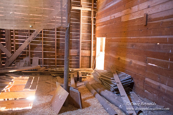 Randi's Barn