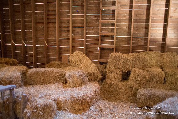 Randi's Barn