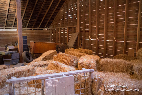 Randi's Barn