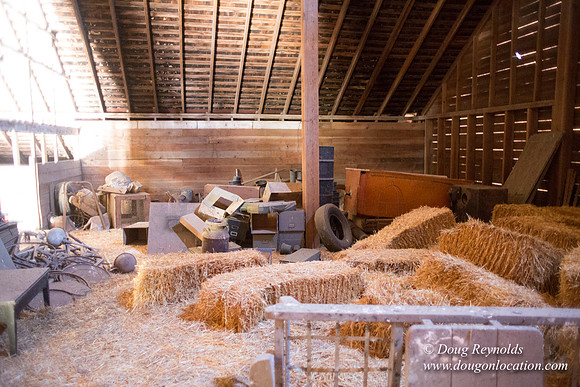 Randi's Barn