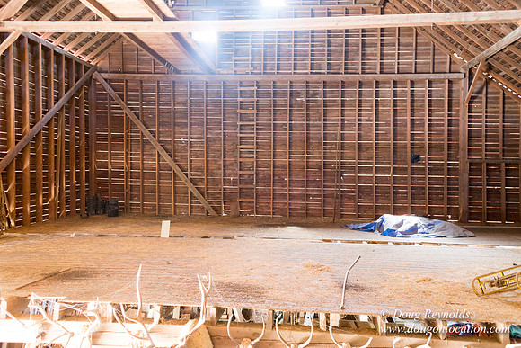 Randi's Barn