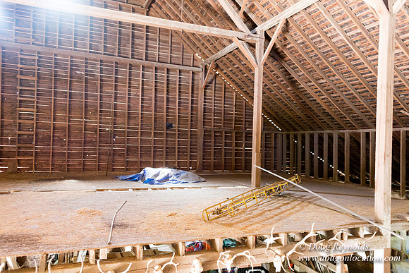 Randi's Barn