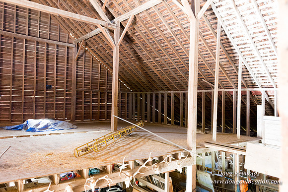 Randi's Barn