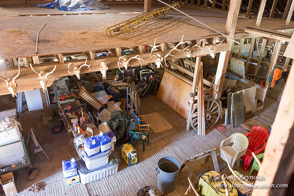 Randi's Barn