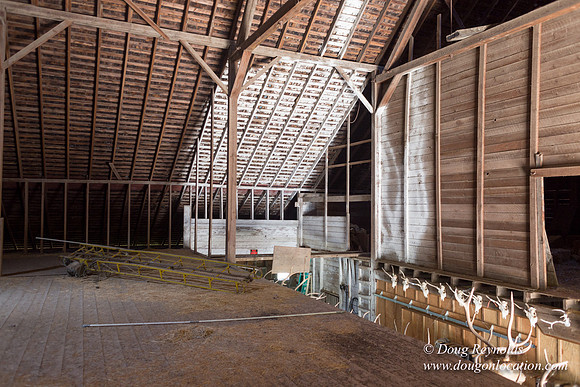 Randi's Barn
