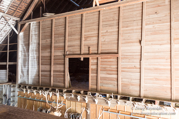 Randi's Barn